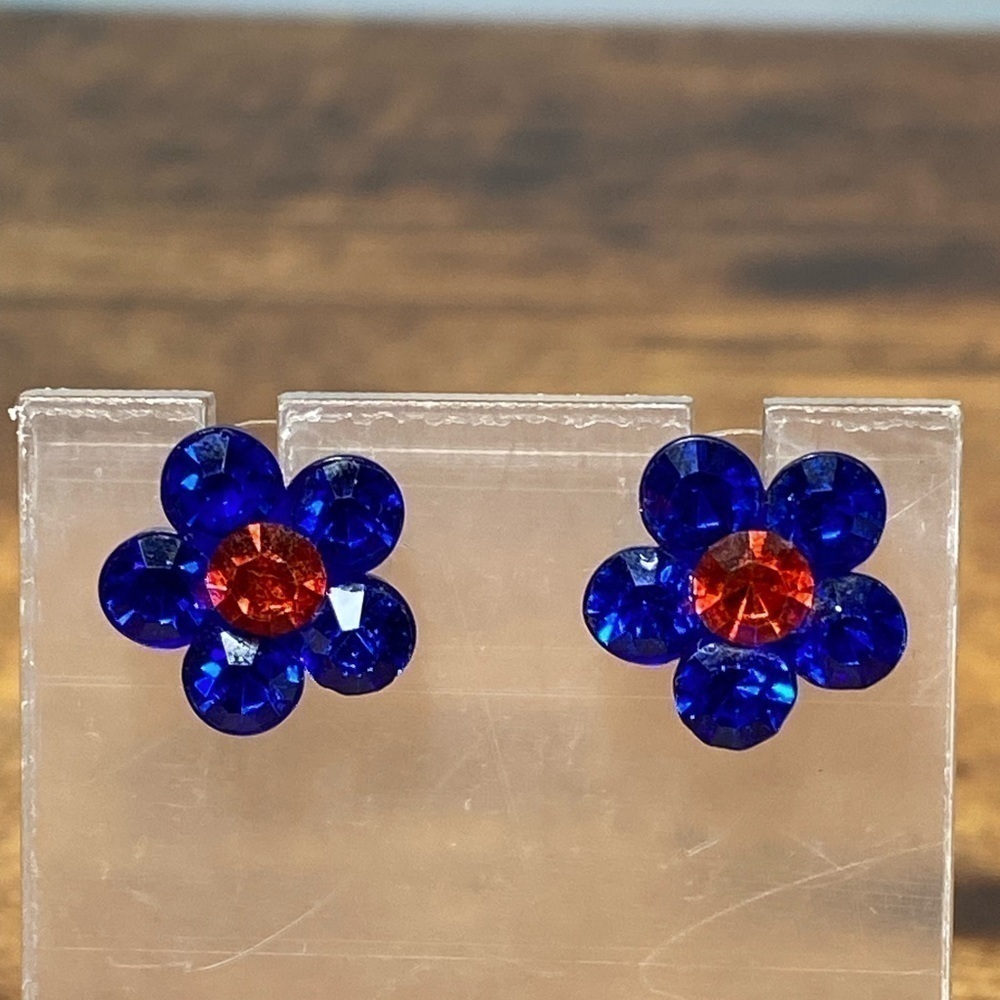 #46 Earrings Glass